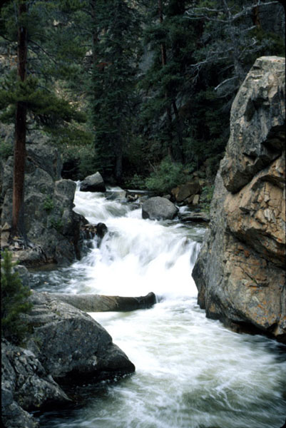 the_pool.jpg (71279 bytes)
