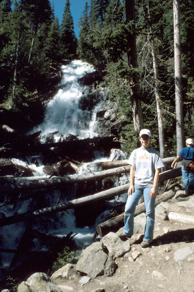 MLE_fern_falls.jpg (89050 bytes)
