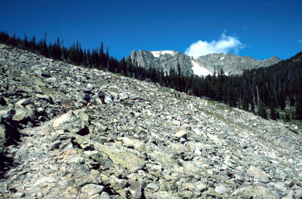 talus.jpg (89298 bytes)