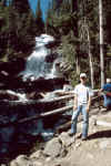 MLE_fern_falls.jpg (97241 bytes)