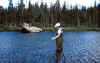MLE_landing_fish.jpg (80954 bytes)