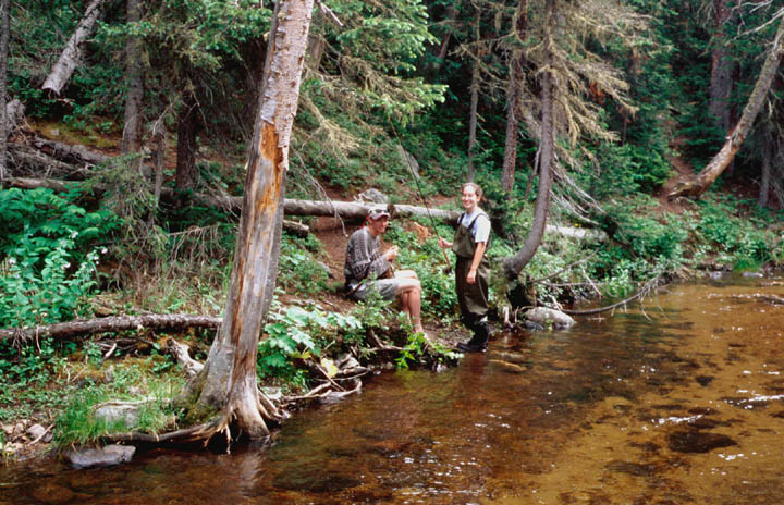 Image02