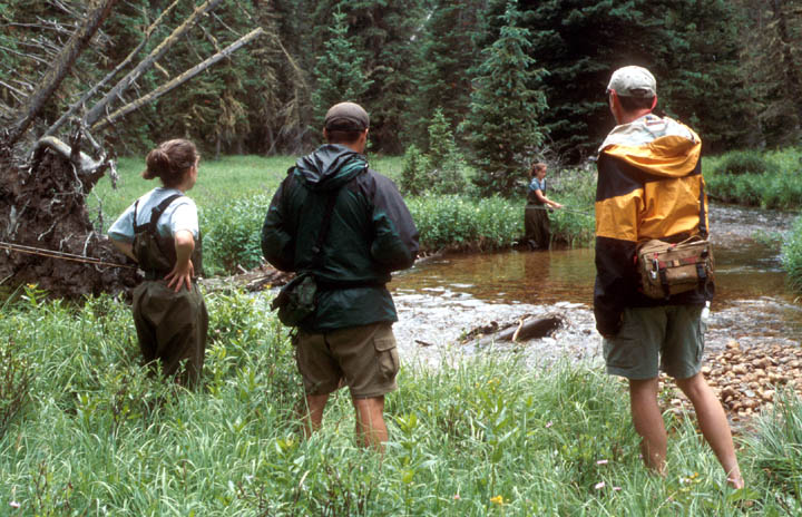 Image06