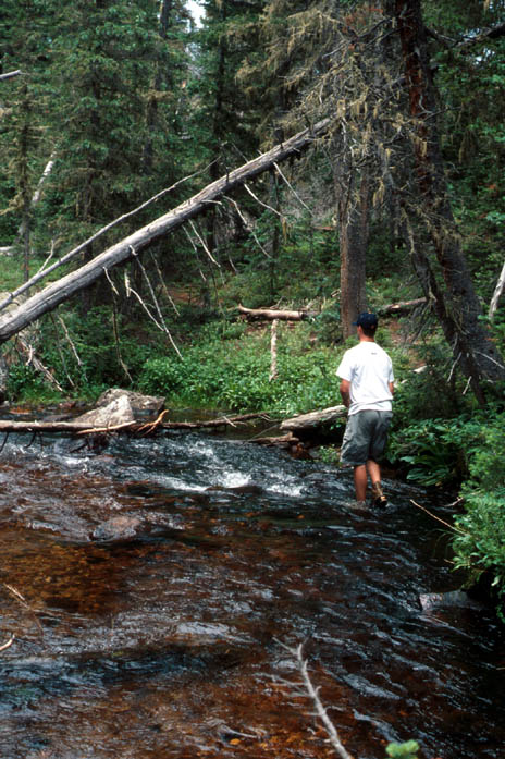Image07