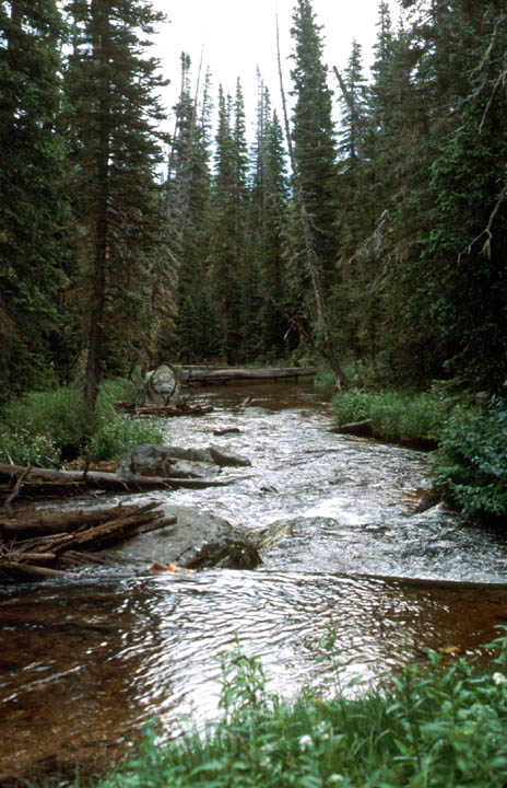 Image15