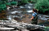 Image01