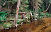 Image02