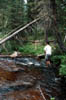 Image07