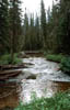 Image15