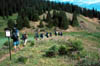 Image2