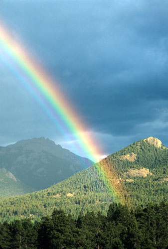 rainbow_jgg.jpg (38975 bytes)